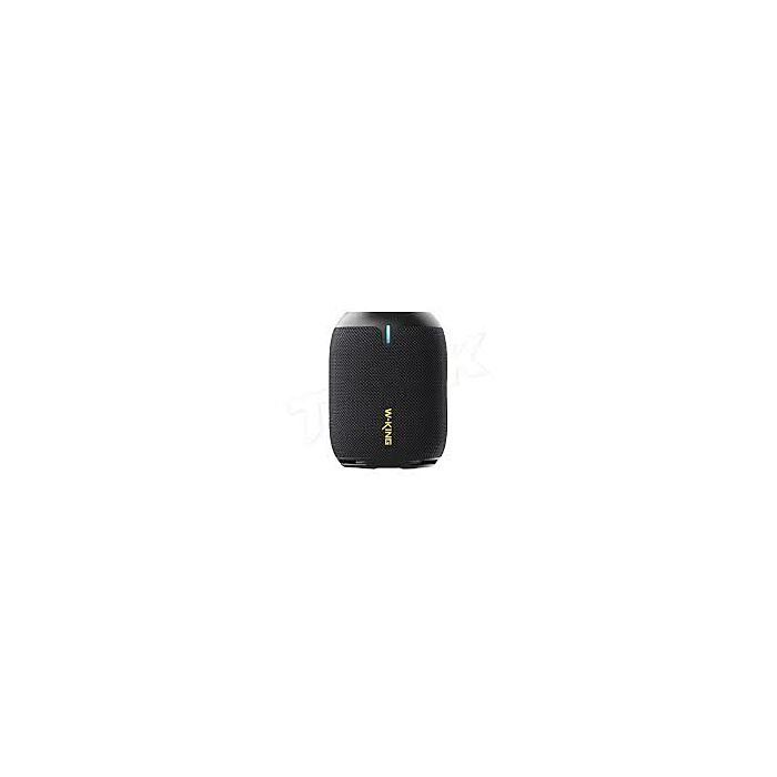 W-king D120 True Wireless Bluetooth Speaker (Black)