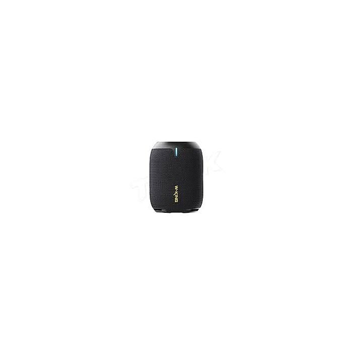 W-King D120 True Wireless Bluetooth Speaker (Black)