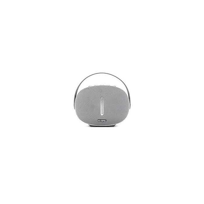 W-King T8 30W Outdoor Traveler Portable Wireless Bluetooth Speaker (Silver)