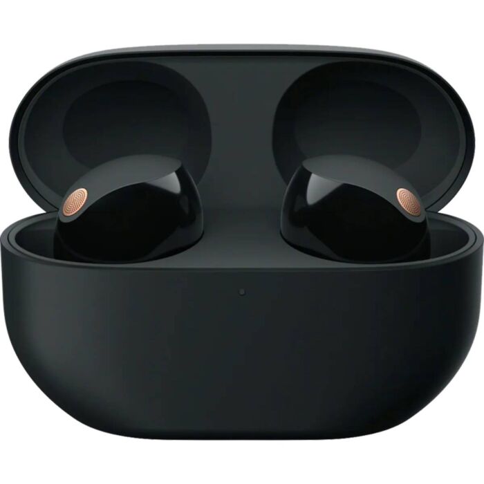 Sony WF-1000XM5 Wireless Noise Canceling Earbuds (Black)