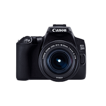Canon EOS 250D 24.1 Mega Pixe EF/EF-S Kit DSLR Camera