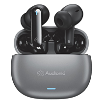 Audionic Wireless 425 Earbuds (Silver)