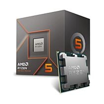 AMD Ryzen 5 8400F Desktop Processor Tray Pack (4.7 GHz, 6 Core / 12 Threads, NEW)